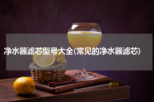 净水器滤芯型号大全(常见的净水器滤芯)