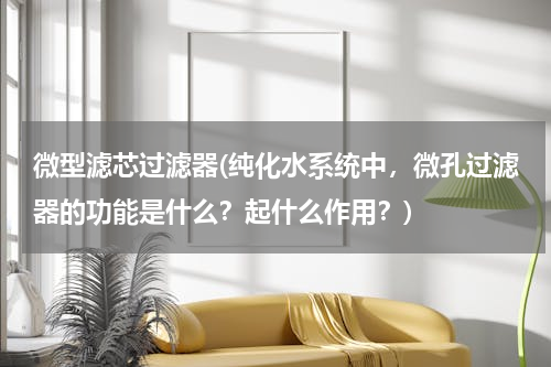 微型滤芯过滤器(纯化水系统中，微孔过滤器的功能是什么？起什么作用？)