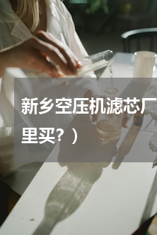 新乡空压机滤芯厂家(空压机后处理滤芯哪里买？)