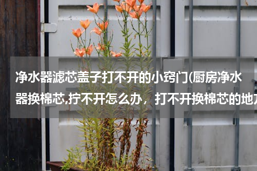 净水器滤芯盖子打不开的小窍门(厨房净水器换棉芯,拧不开怎么办，打不开换棉芯的地方)