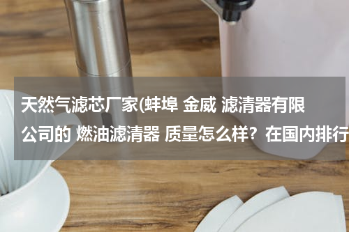 天然气滤芯厂家(蚌埠 金威 滤清器有限公司的 燃油滤清器 质量怎么样？在国内排行怎么样？请知悉者帮忙解答一下，谢了。)