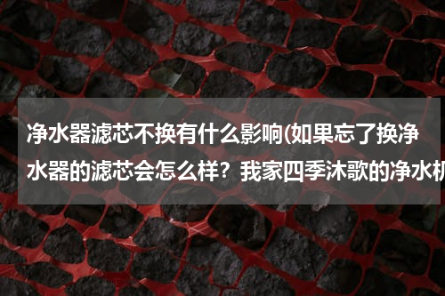 净水器滤芯不换有什么影响(如果忘了换净水器的滤芯会怎么样？我家四季沐歌的净水机)