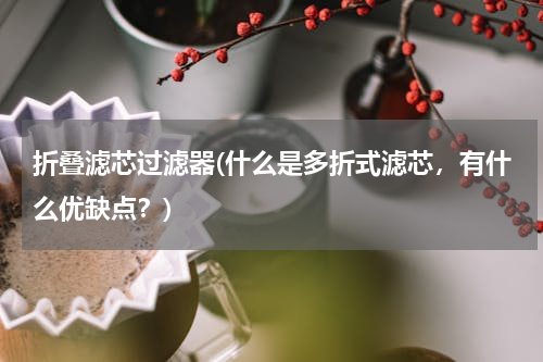 折叠滤芯过滤器(什么是多折式滤芯，有什么优缺点？)
