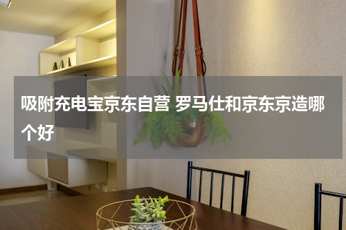 吸附充电宝京东自营 罗马仕和京东京造哪个好