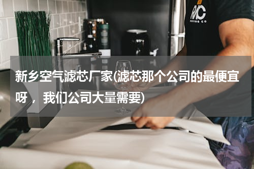 新乡空气滤芯厂家(滤芯那个公司的最便宜呀 ，我们公司大量需要)
