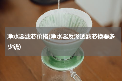 净水器滤芯价格(净水器反渗透滤芯换要多少钱)