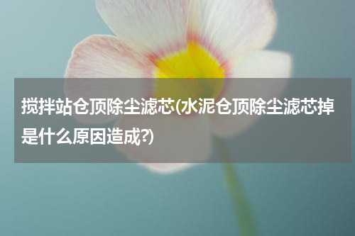 搅拌站仓顶除尘滤芯(水泥仓顶除尘滤芯掉是什么原因造成?)