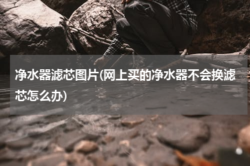 净水器滤芯图片(网上买的净水器不会换滤芯怎么办)