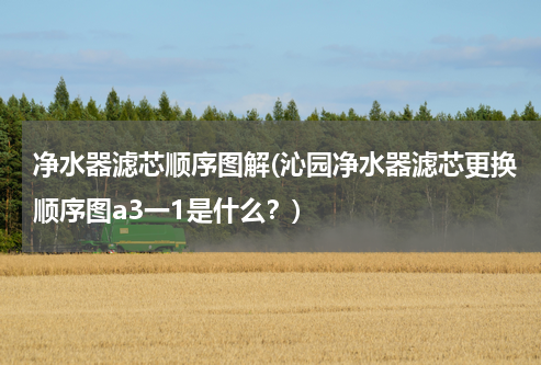 净水器滤芯顺序图解(沁园净水器滤芯更换顺序图a3一1是什么？)