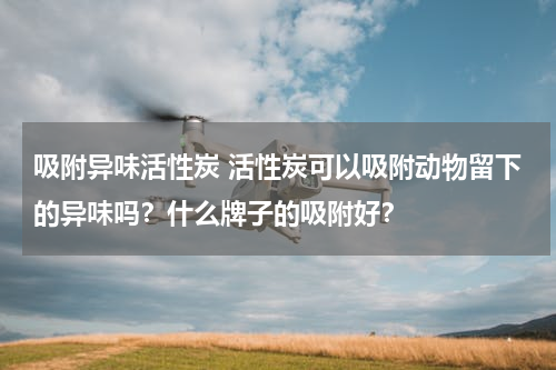 吸附异味活性炭 活性炭可以吸附动物留下的异味吗？什么牌子的吸附好？