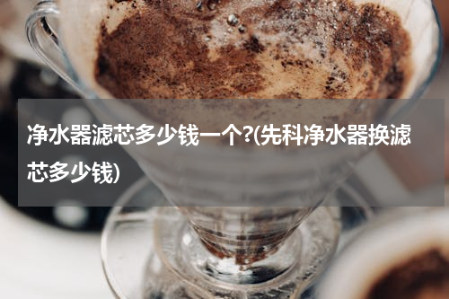 净水器滤芯多少钱一个?(先科净水器换滤芯多少钱)