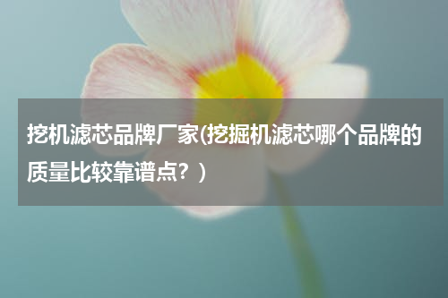 挖机滤芯品牌厂家(挖掘机滤芯哪个品牌的质量比较靠谱点？)
