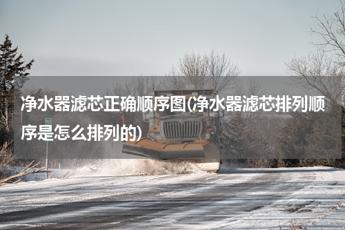 净水器滤芯正确顺序图(净水器滤芯排列顺序是怎么排列的)