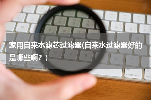 家用自来水滤芯过滤器(自来水过滤器好的是哪些啊？)