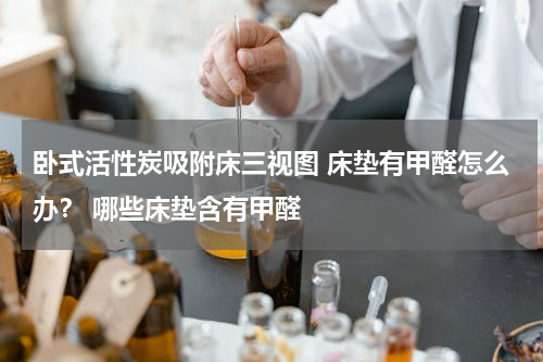 卧式活性炭吸附床三视图 床垫有甲醛怎么办？ 哪些床垫含有甲醛