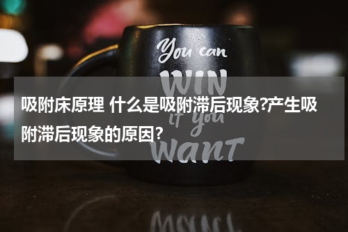 吸附床原理 什么是吸附滞后现象?产生吸附滞后现象的原因？