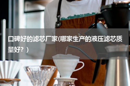 口碑好的滤芯厂家(哪家生产的液压滤芯质量好？)