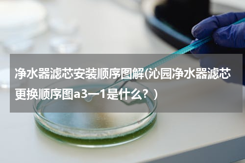 净水器滤芯安装顺序图解(沁园净水器滤芯更换顺序图a3一1是什么？)