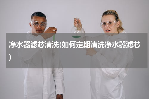 净水器滤芯清洗(如何定期清洗净水器滤芯)