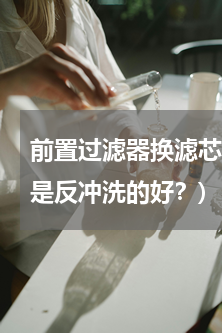 前置过滤器换滤芯(前置过滤器换滤芯好还是反冲洗的好？)