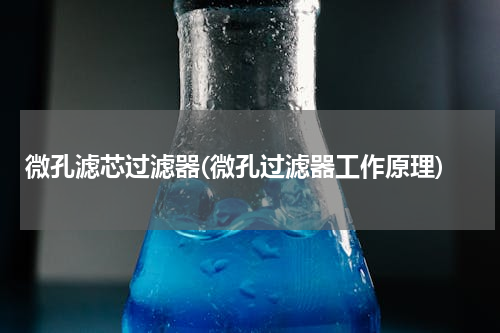 微孔滤芯过滤器(微孔过滤器工作原理)
