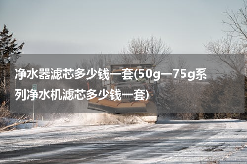 净水器滤芯多少钱一套(50g一75g系列净水机滤芯多少钱一套)