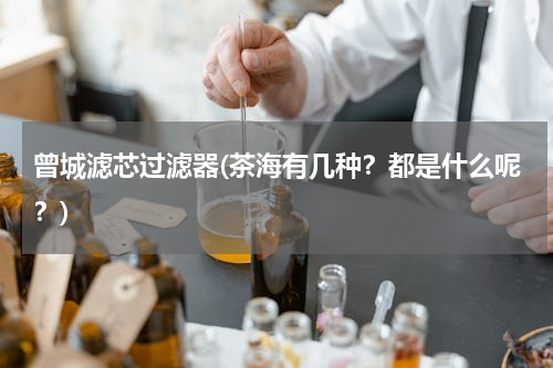 曾城滤芯过滤器(茶海有几种？都是什么呢？)