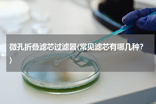 微孔折叠滤芯过滤器(常见滤芯有哪几种？)