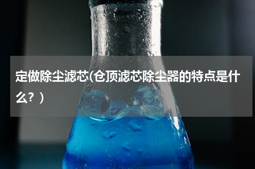 定做除尘滤芯(仓顶滤芯除尘器的特点是什么？)
