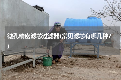 微孔精密滤芯过滤器(常见滤芯有哪几种？)