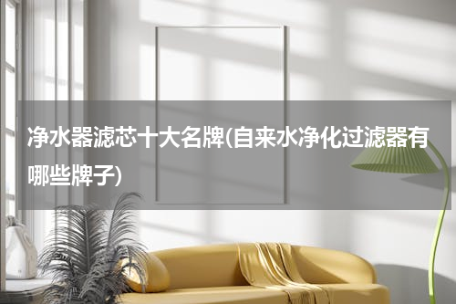净水器滤芯十大名牌(自来水净化过滤器有哪些牌子)