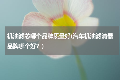 机油滤芯哪个品牌质量好(汽车机油滤清器品牌哪个好？)