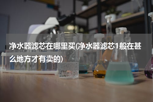 净水器滤芯在哪里买(净水器滤芯1般在甚么地方才有卖的)