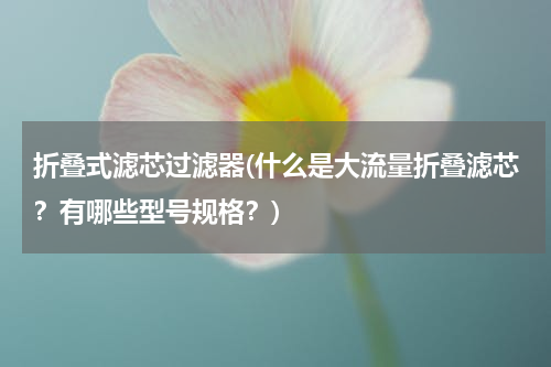 折叠式滤芯过滤器(什么是大流量折叠滤芯？有哪些型号规格？)