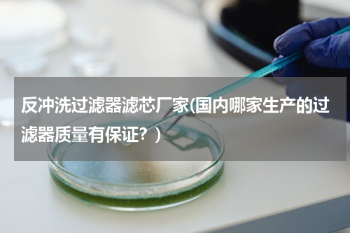 反冲洗过滤器滤芯厂家(国内哪家生产的过滤器质量有保证？)