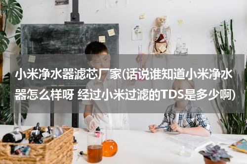 小米净水器滤芯厂家(话说谁知道小米净水器怎么样呀 经过小米过滤的TDS是多少啊)