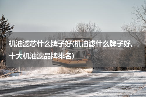 机油滤芯什么牌子好(机油滤什么牌子好,十大机油滤品牌排名)