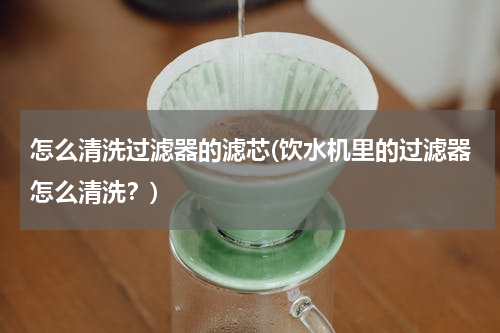 怎么清洗过滤器的滤芯(饮水机里的过滤器怎么清洗？)