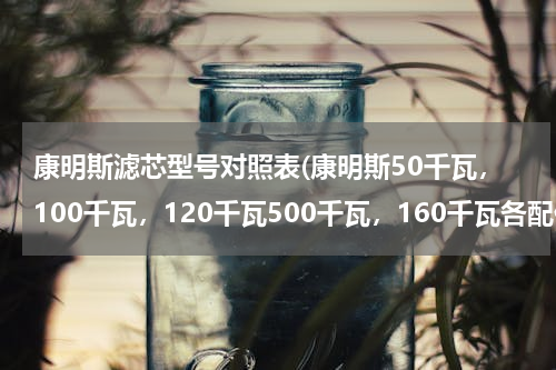 康明斯滤芯型号对照表(康明斯50千瓦，100千瓦，120千瓦500千瓦，160千瓦各配什么型号滤芯,)