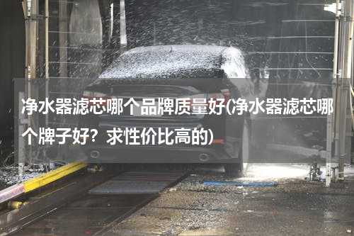 净水器滤芯哪个品牌质量好(净水器滤芯哪个牌子好？求性价比高的)