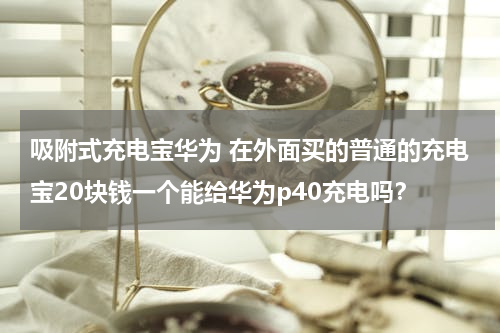 吸附式充电宝华为 在外面买的普通的充电宝20块钱一个能给华为p40充电吗？