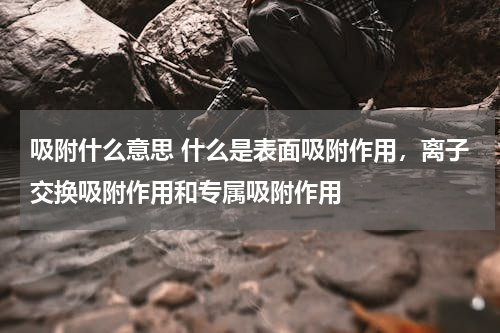 吸附什么意思 什么是表面吸附作用，离子交换吸附作用和专属吸附作用
