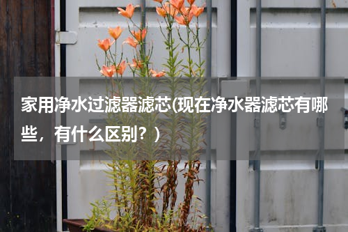 家用净水过滤器滤芯(现在净水器滤芯有哪些，有什么区别？)