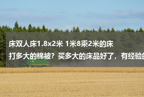 床双人床1.8x2米 1米8乘2米的床打多大的棉被？买多大的床品好了，有经验的教教我