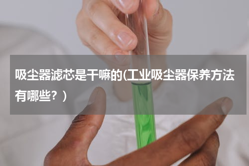 吸尘器滤芯是干嘛的(工业吸尘器保养方法有哪些？)
