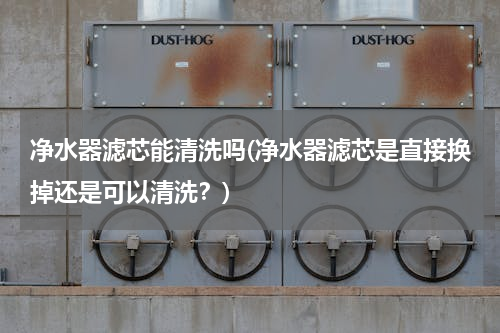 净水器滤芯能清洗吗(净水器滤芯是直接换掉还是可以清洗？)