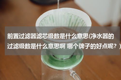 前置过滤器滤芯级数是什么意思(净水器的过滤级数是什么意思啊 哪个牌子的好点呢？)