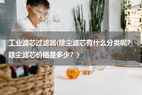 工业滤芯过滤器(除尘滤芯有什么分类呢？除尘滤芯价格是多少？)
