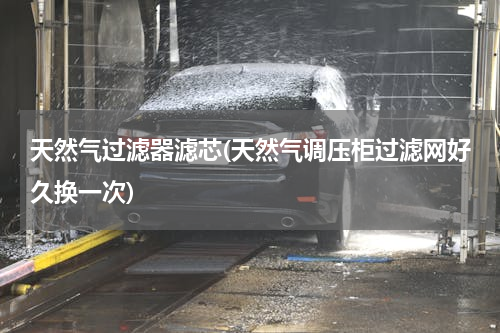天然气过滤器滤芯(天然气调压柜过滤网好久换一次)
