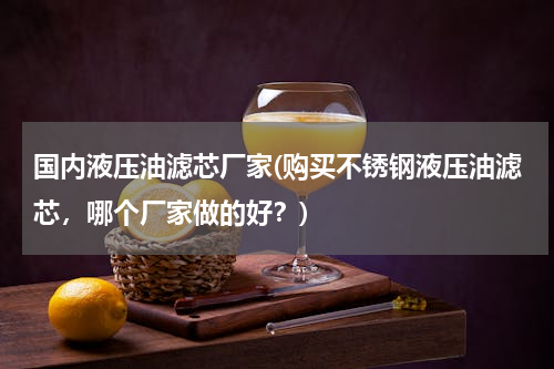 国内液压油滤芯厂家(购买不锈钢液压油滤芯，哪个厂家做的好？)
